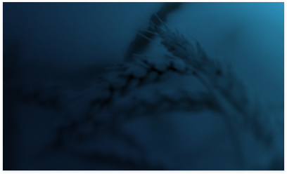 農(nóng)產(chǎn)品期貨